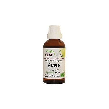 Phyto'Gem Erable Bio - Macérat mère de bourgeons unitaire - 40ml - Phytofrance