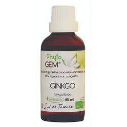 Phyto'Gem Ginkgo Bio - Macérat mère de bourgeons unitaire - 40ml - Phytofrance