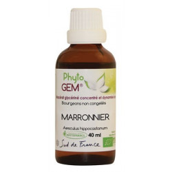 Phyto'Gem Marronnier Bio - Macérat mère de bourgeons unitaire - 40ml - Phytofrance