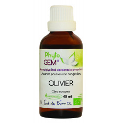 Phyto'Gem Olivier Bio - Macérat mère de bourgeons unitaire - 40ml - Phytofrance