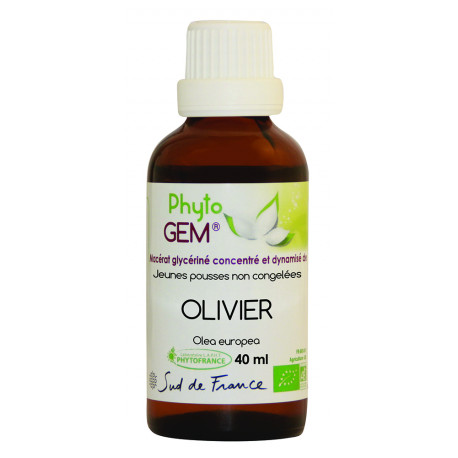 Phyto'Gem Olivier Bio - Macérat mère de bourgeons unitaire - 40ml - Phytofrance Phyto'Gem Olivier Bio - Macérat mère de bourgeons unitaire - 40ml - Phytofrance
