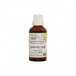 Phyto'Gem Sapin pectiné Bio - Macérat mère de bourgeons unitaire - 40ml - Phytofrance