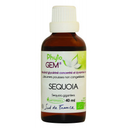 Phyto'Gem Séquoia Bio - Macérat mère de bourgeons unitaire - 40ml - Phytofrance
