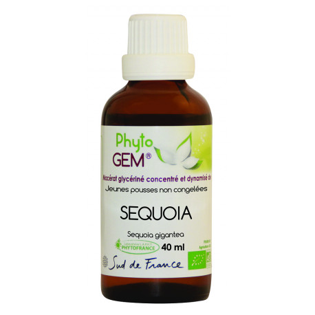 Phyto'Gem Séquoia Bio - Macérat mère de bourgeons unitaire - 40ml - Phytofrance Phyto'Gem Séquoia Bio - Macérat mère de bourgeons unitaire - 40ml - Phytofrance