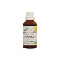 Phyto'Gem Citronnier Bio - Macérat mère de bourgeons unitaire - 40ml - Phytofrance