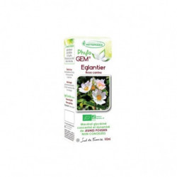 Phyto'Gem Eglantier Bio - Macérat mère de bourgeons unitaire - 40ml - Phytofrance