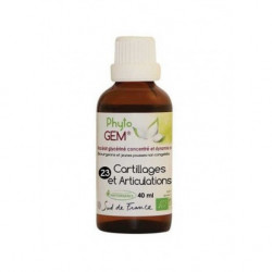 Phyto'Gem n°23 Cartilages et articulations  Bio - Macérat mère de bourgeons complexe - 40ml - Phytofrance