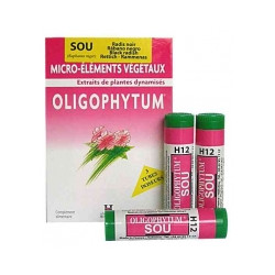 HOLISTICA - Oligophytum SOU - 3 tubes distributeurs