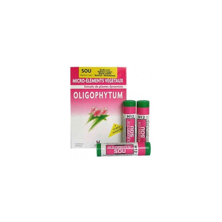 HOLISTICA - Oligophytum SOU - 3 tubes distributeurs